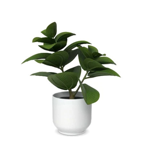 Flower & Gift Shop PureLeaf Modern Potted Plant